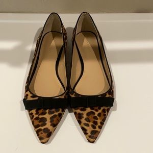 Ann Taylor leopard pointed toe flats